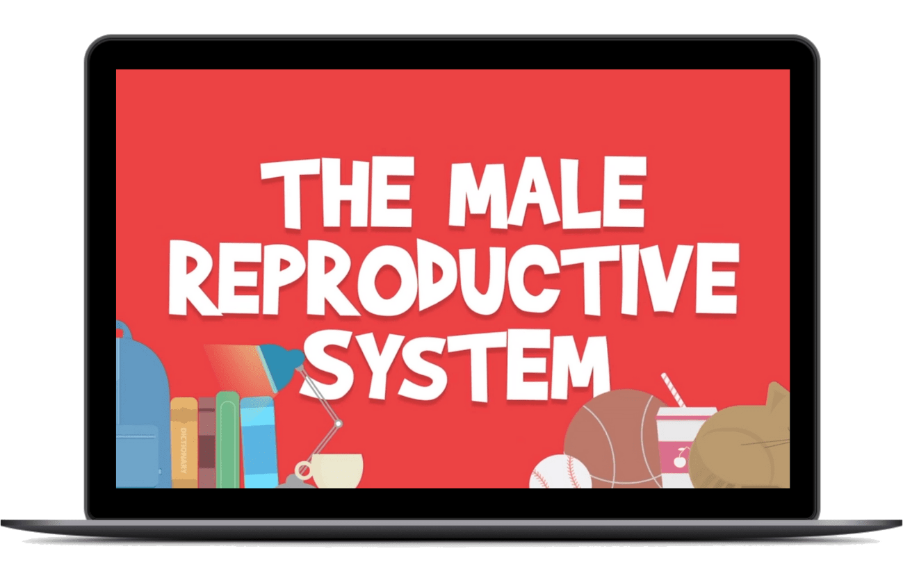 computer-male-copy